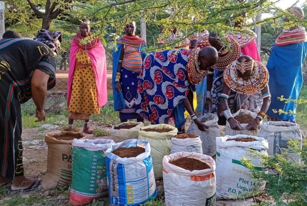 Indigenous women at Kiltamany Samburu county practicing sustainable agriculture to achieve food security