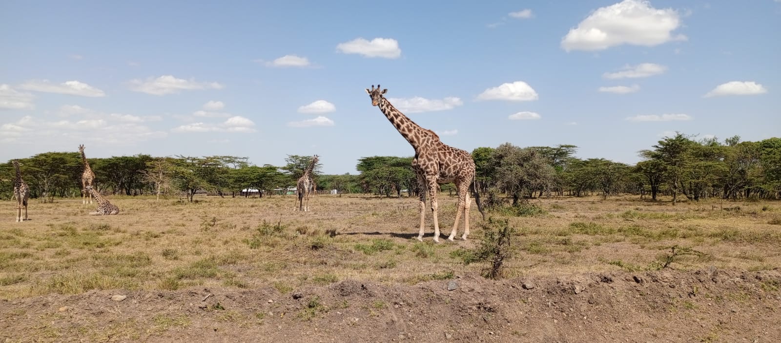 We can save our ecosystems by avoiding any form of destruction!