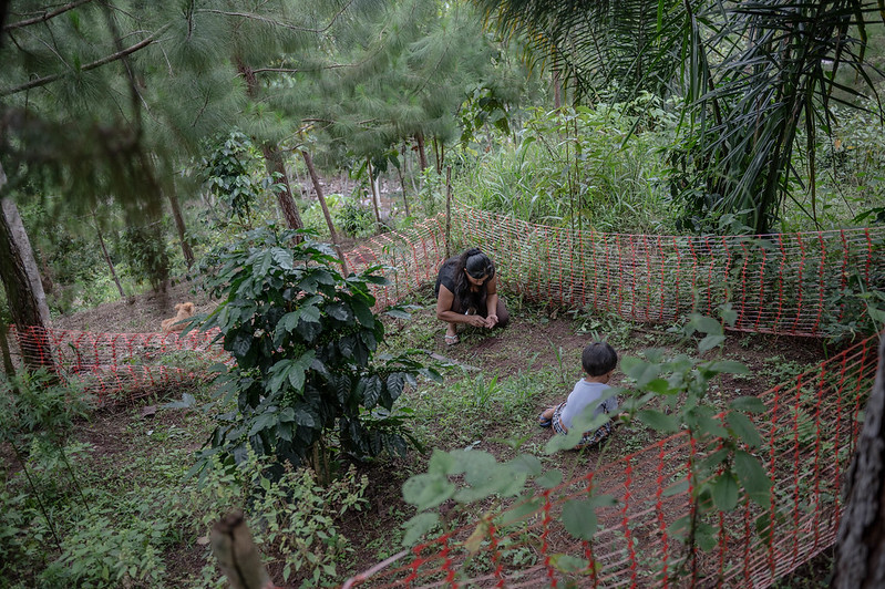 Fiorella López Manchari (37 years old) of the Yanesha people grows vegetables in her family's bio-garden. Unión de La Selva Native Community, district of Villa Rica, province of Oxapampa, Pasco region, Peru.