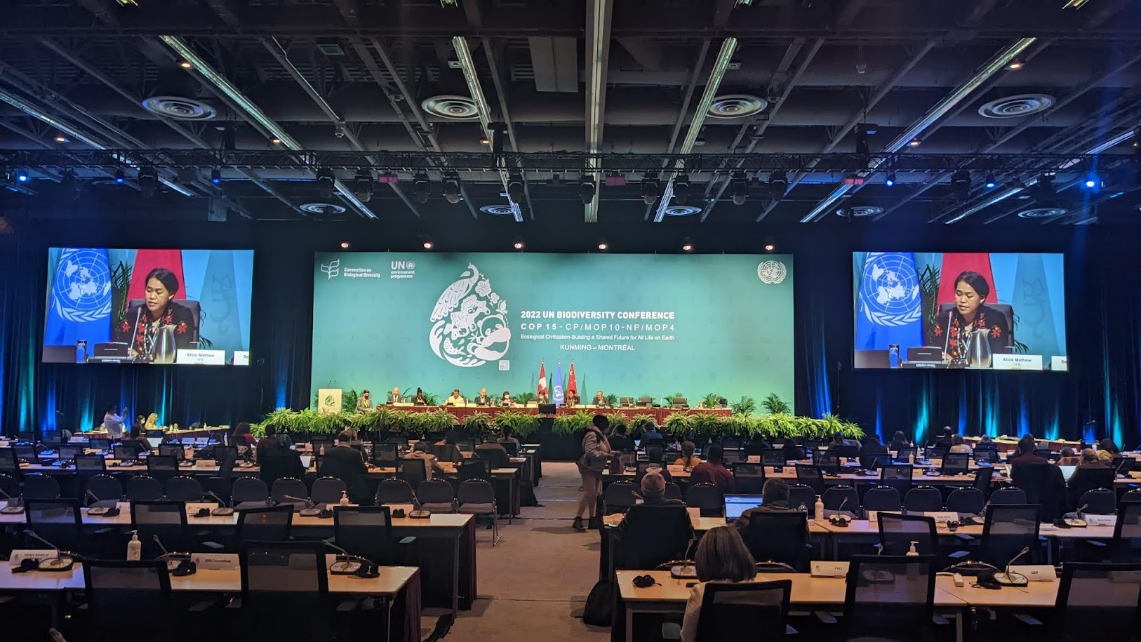 Indigenous Peoples and Local Communities celebrate COP15 deal on nature, and welcome the opportunity of working together with states to implement the framework