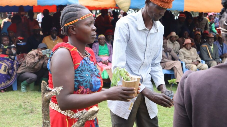 Display of assorted indigenous tree seedlings during World Indigenous day 2023