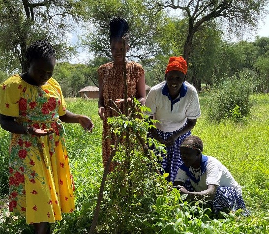 Learning new skills on planting and restoration to achieve food security. Photo credits: IIN