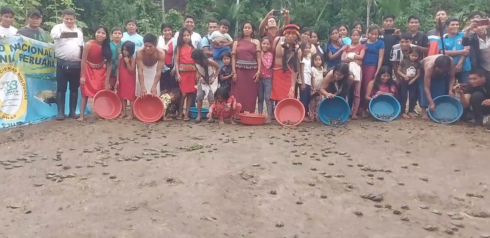 วีดีทัศน์ชุมชน: การปล่อยเต่าน้ำในลุ่มน้ำกันเกม เขตแดนโมโรนา แห่งประชาชาติวัมปิส