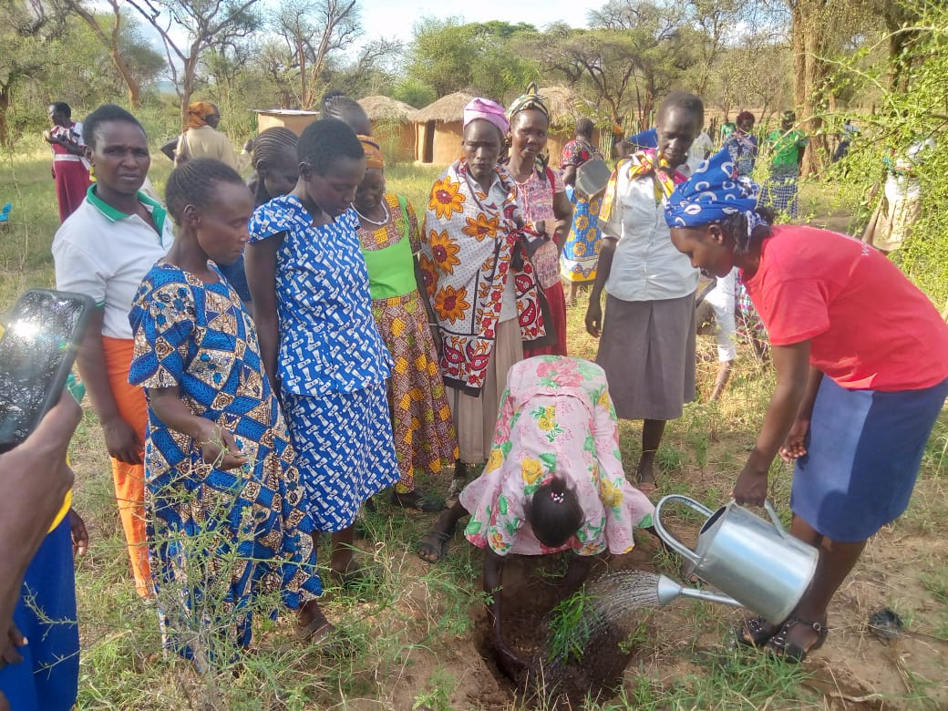 Soberanía alimentaria en las comunidades Maasai, Samburu y Pokot en relación con sus conocimientos tradicionales