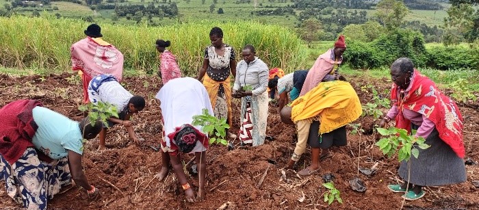 Food sovereignty in Maasai, Samburu and Pokot communities in relation ...