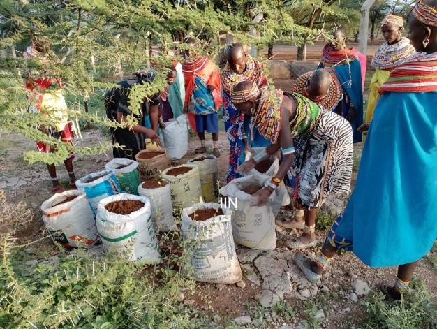 Revitalization of traditional food through sustainable agriculture by Samburu Community. Photo credits: IIN