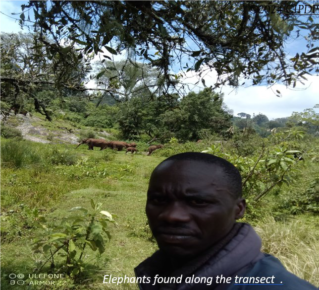 David Kwalia, a community monitor, encounters elephants during biodiversity monitoring trials