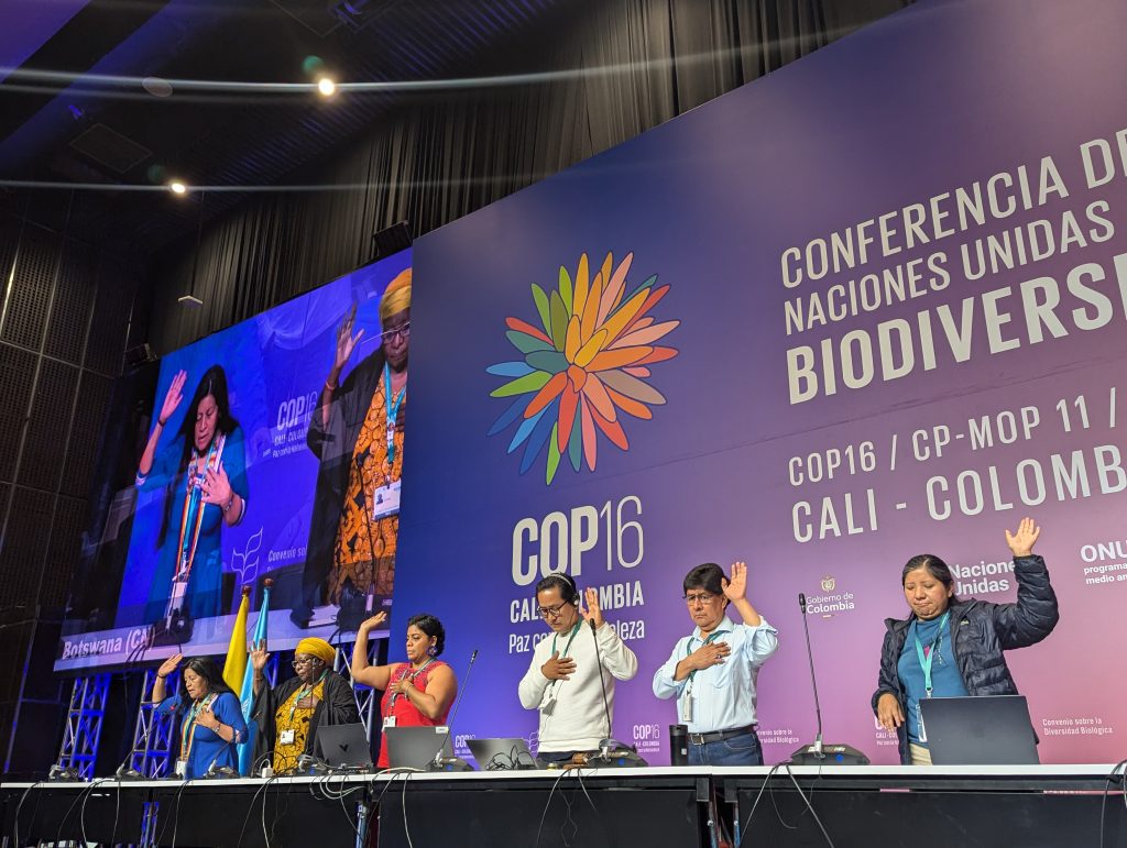 IIFB representatives at COP16