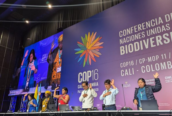 IIFB representatives at COP16