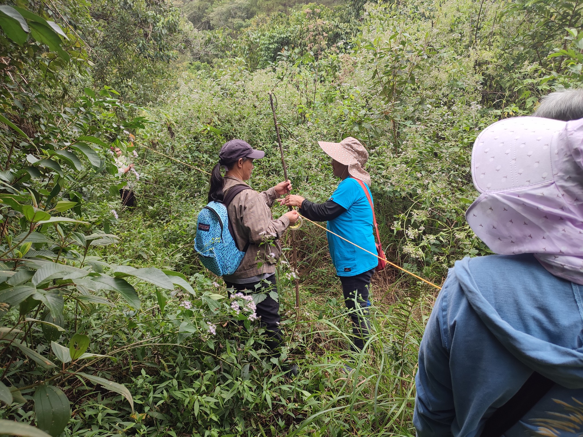 Monitoreo comunitario de tierras y recursos ancestrales en un entorno urbano