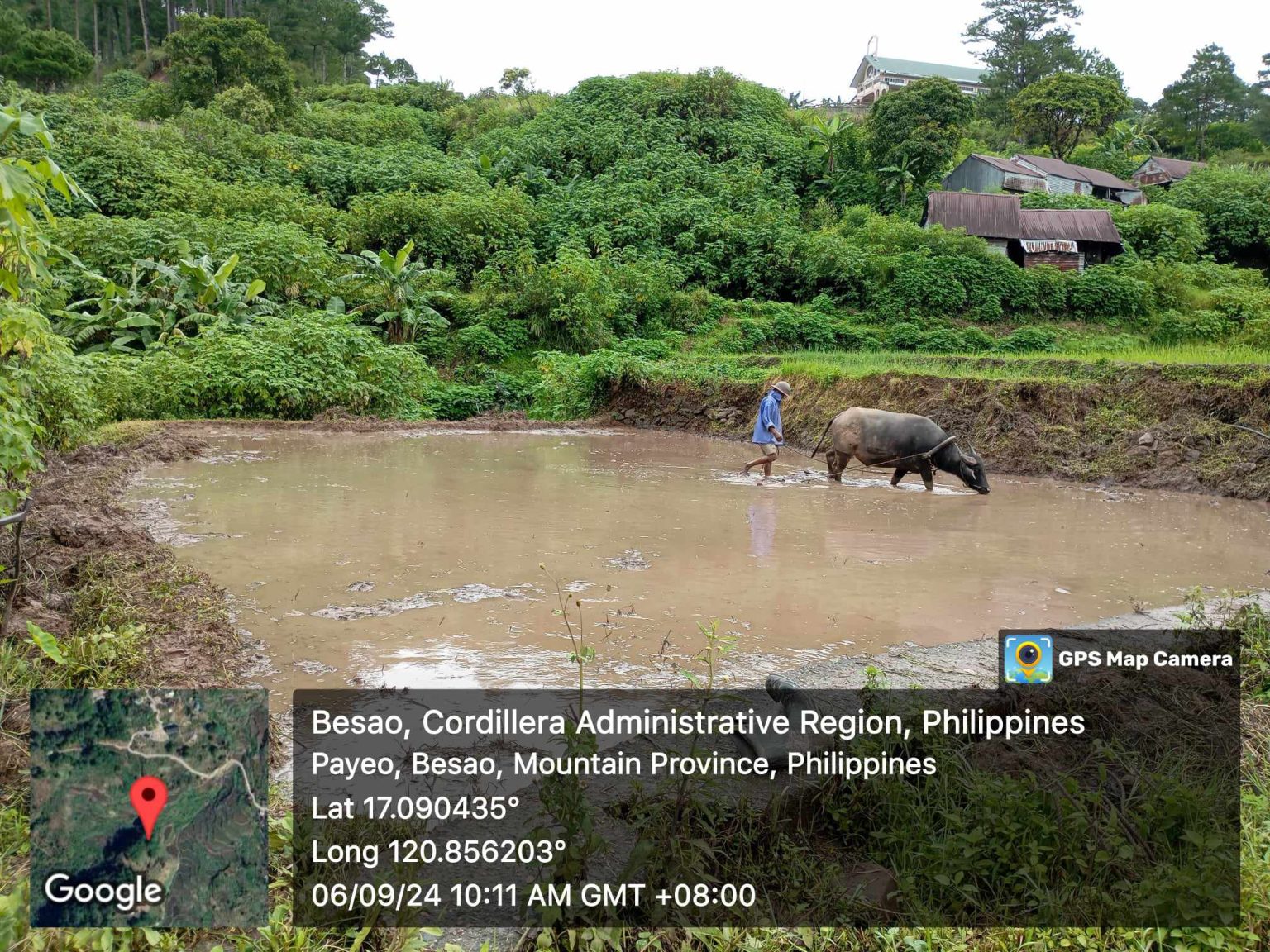 Revitalising Indigenous Food Systems of the Payew people of Besao, Mt ...