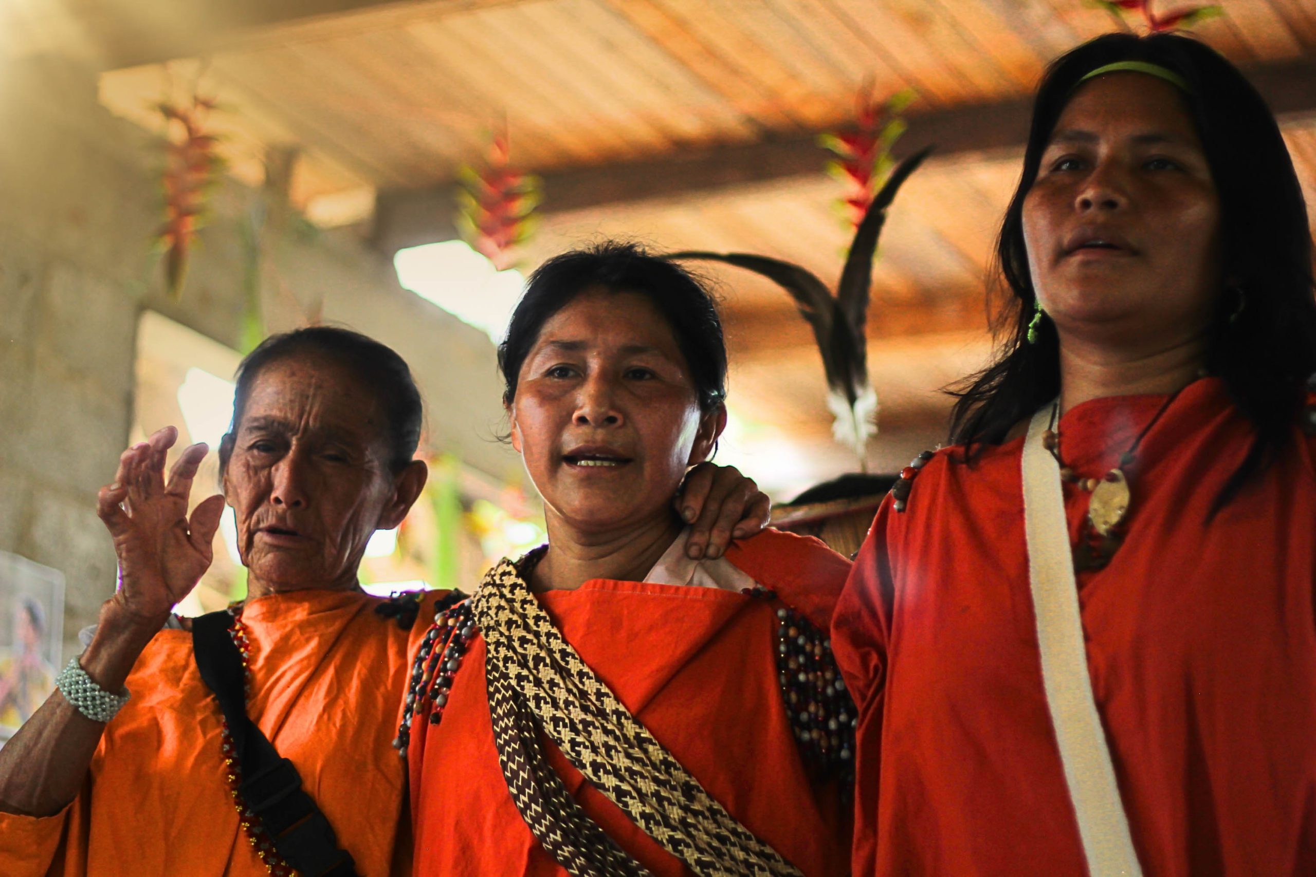 Compartiendo saberes sobre biodiversidad: Encuentro de pueblos yanesha y shipibo