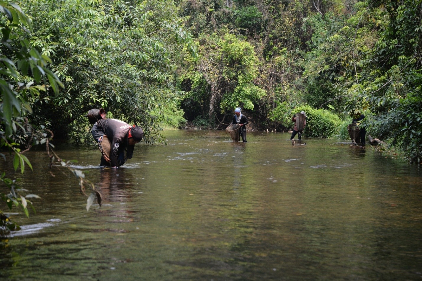 Community-based monitoring of river health and biodiversity
