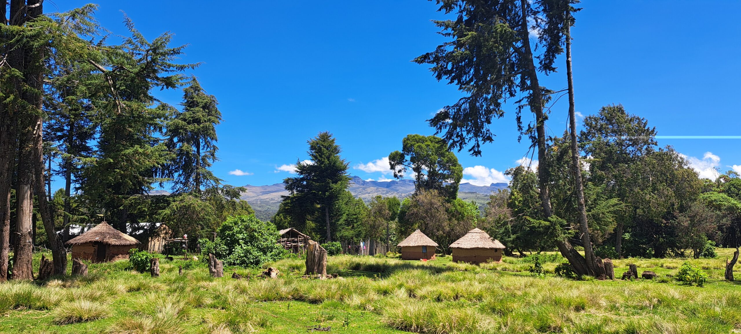 “It is the way we live that conserves”:  Legal models for rights-based conservation