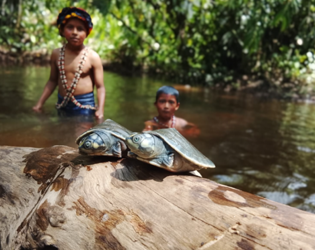 Community-based monitoring of freshwater turtles