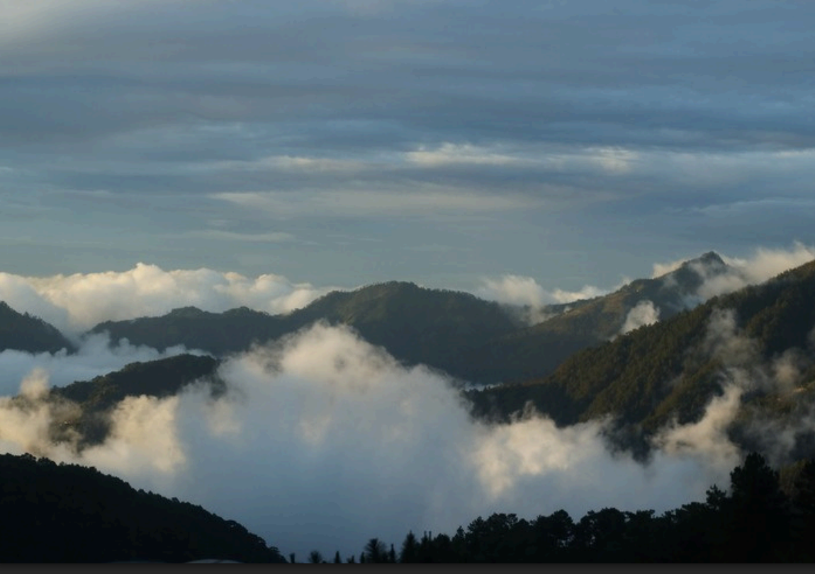 From Consultation to Leadership: Indigenous Peoples’ Rights in the Philippine NBSAP
