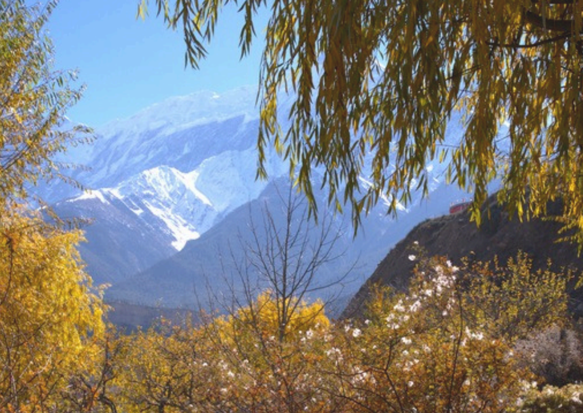 Indigenous Peoples’ Experience with the Revision of Nepal’s NBSAP