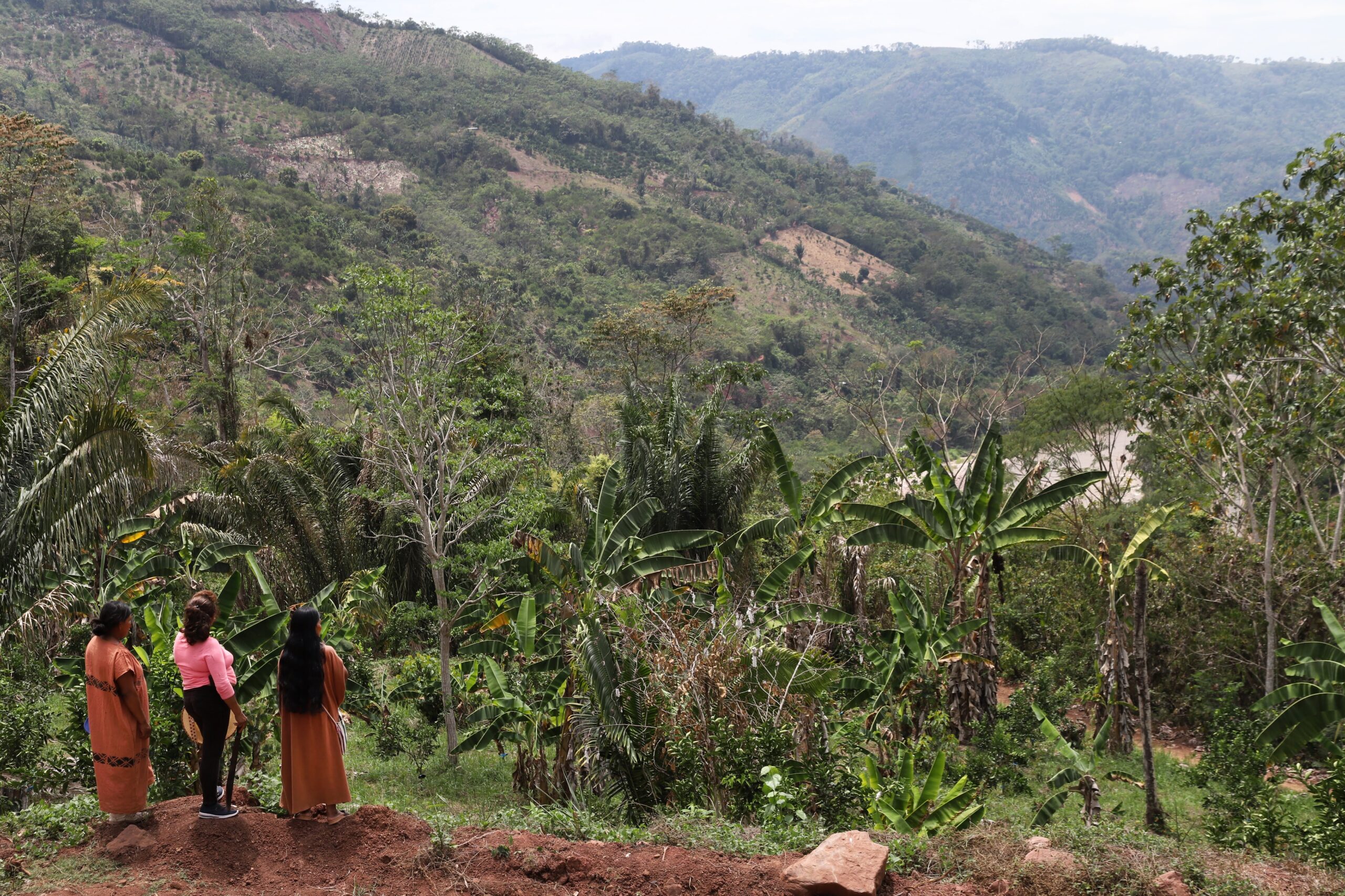 The Global Biodiversity Framework: A Guide for Indigenous Peoples
