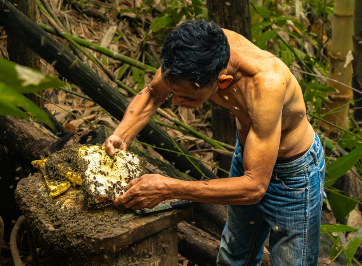 The Secret Raw – Documentary series on the roots of Indigenous Food in Thailand