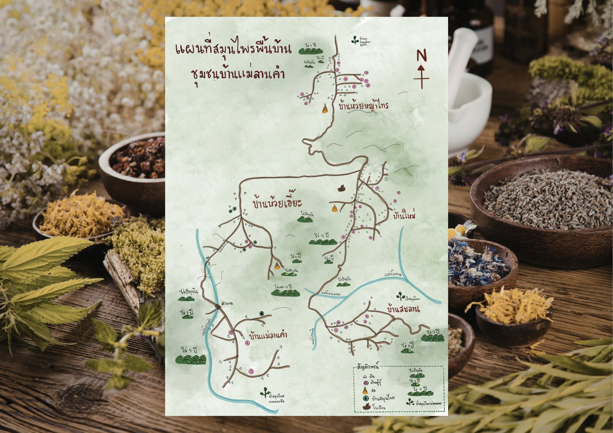 การถ่ายทอดความรู้ดั้งเดิมเกี่ยวกับสมุนไพรท้องถิ่นในประเทศไทย