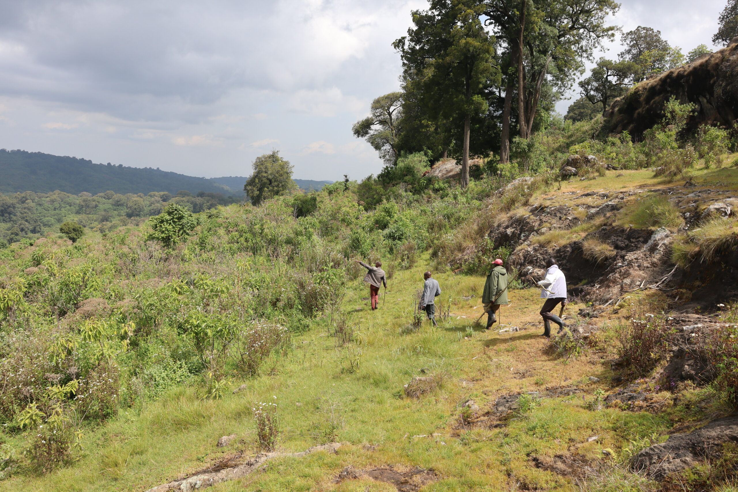 Los observadores comunitarios realizan un seguimiento de la biodiversidad en el monte Elgon, en Kenia